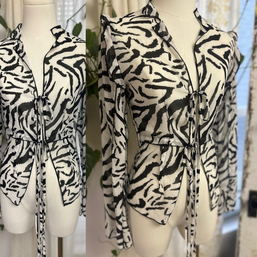 Cider Chic Zebra Print Sheer Blouse